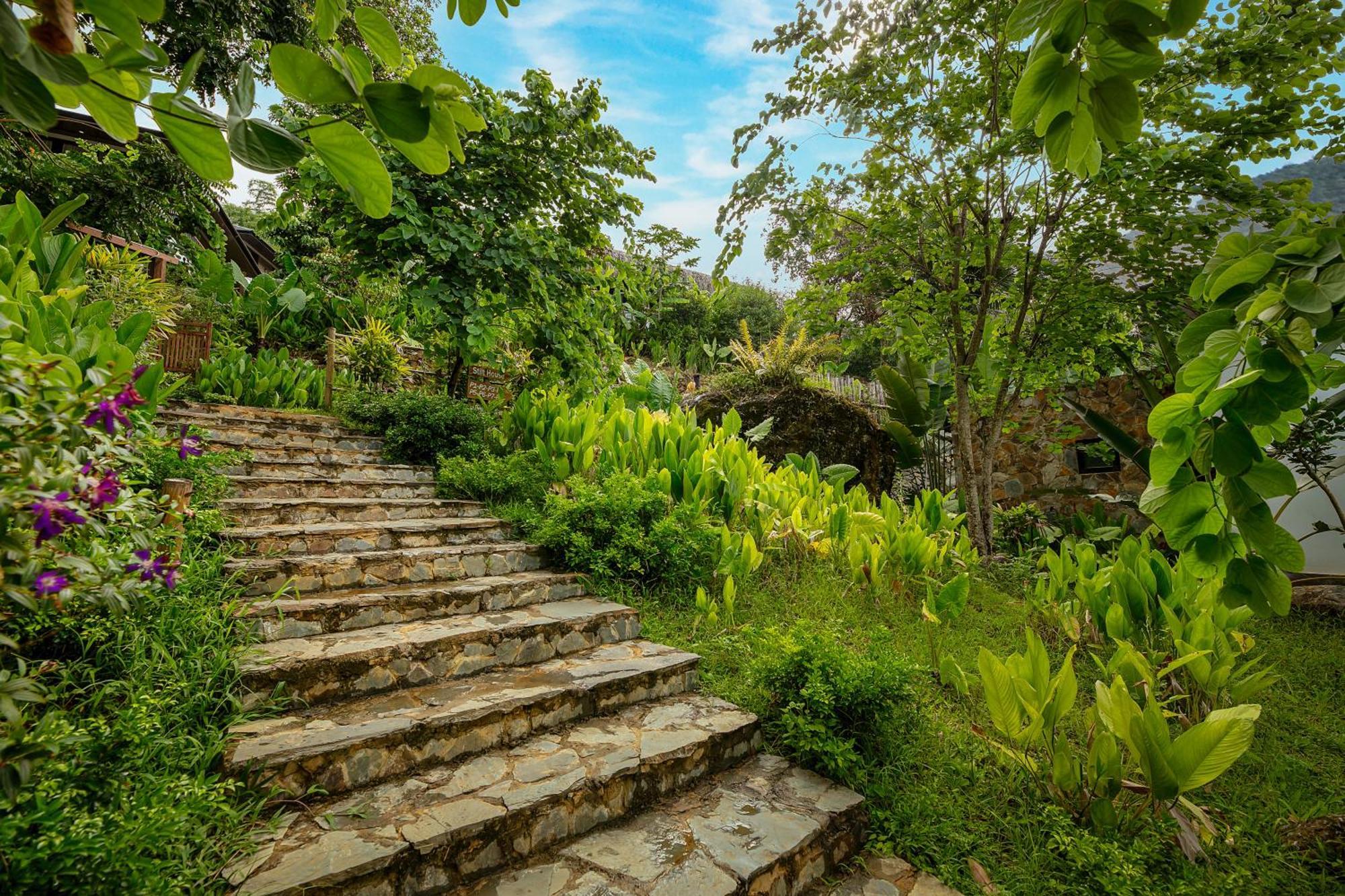 Готель Pu Luong Bocbandi Retreat Екстер'єр фото